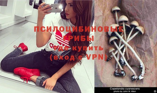 гидра Осинники