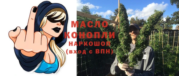 гидра Осинники