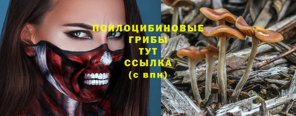 крисы Остров