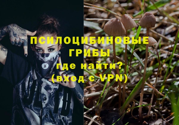 крисы Остров