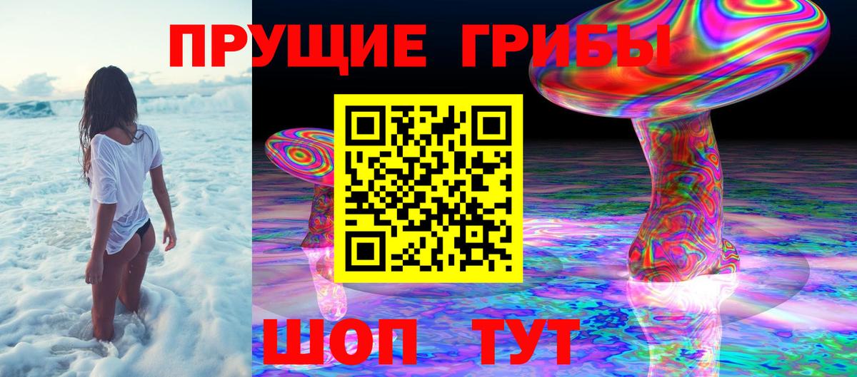 Псилоцибиновые грибы Magic Shrooms Кузнецк