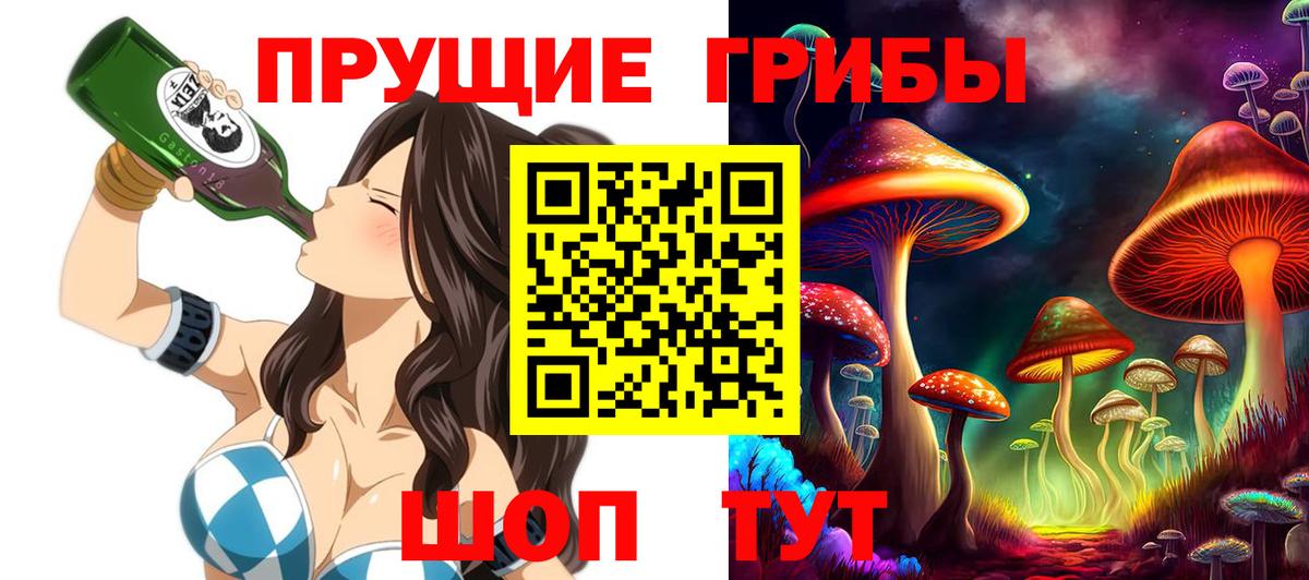 Псилоцибиновые грибы прущие грибы  Галлюциногенные грибы GOLDEN TEACHER  Кузнецк 