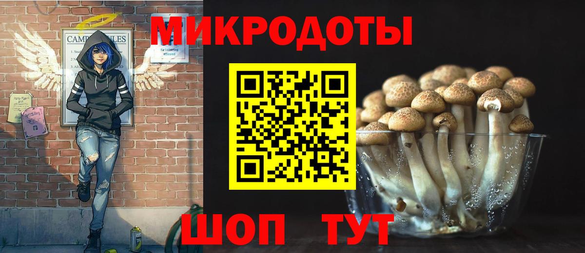 Галлюциногенные грибы Psilocybine cubensis Кузнецк