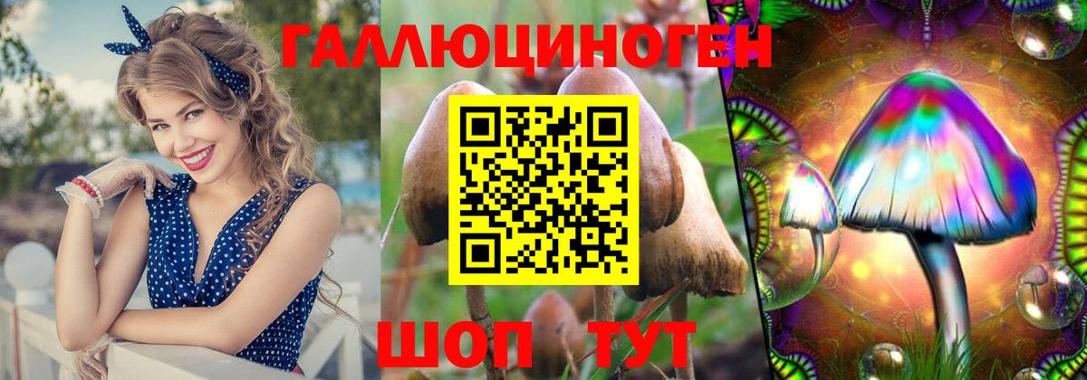 Псилоцибиновые грибы Psilocybine cubensis  Вход с VPN  Кузнецк  Псилоцибиновые грибы мицелий 